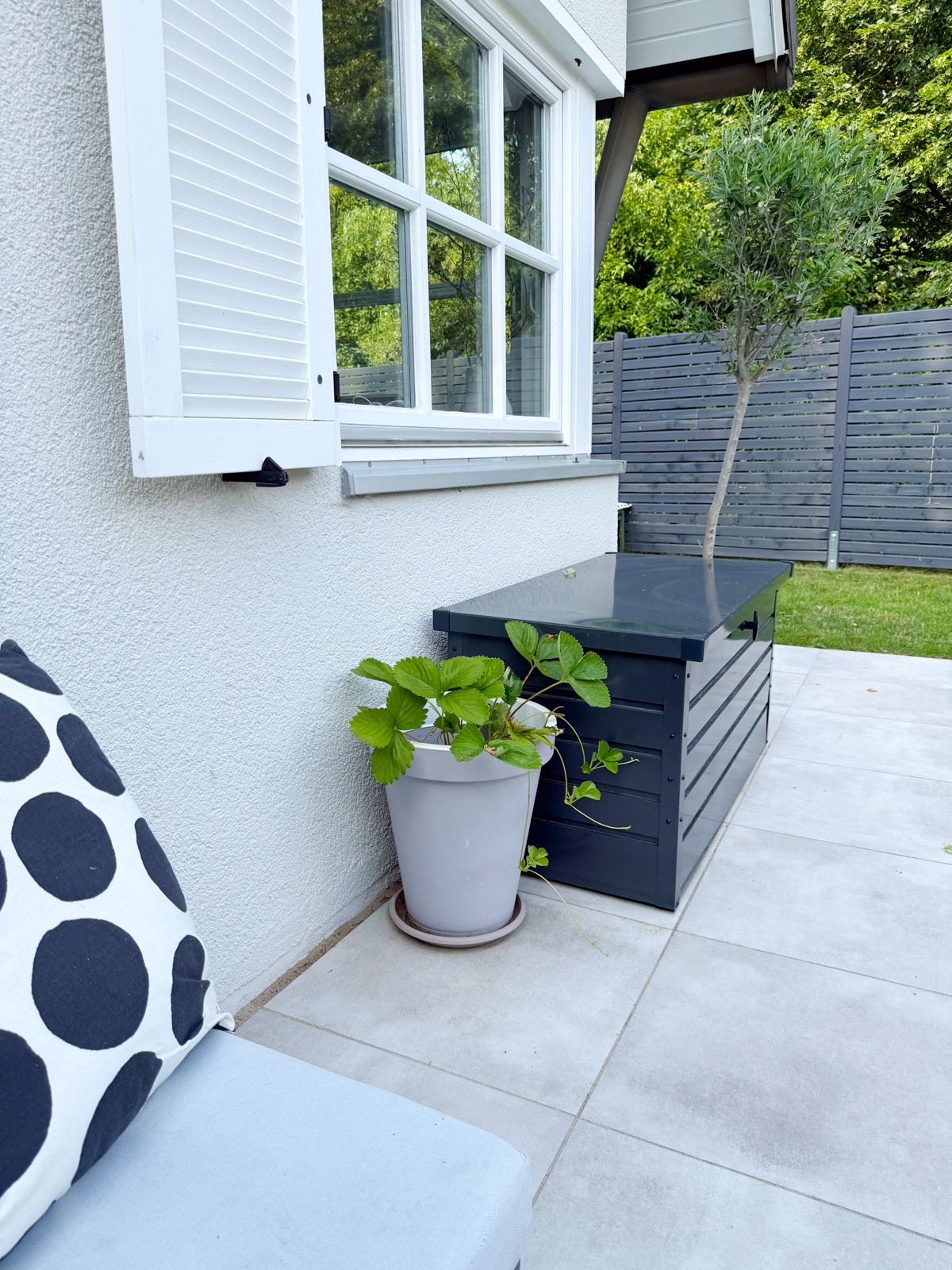 Terrassenbau Galabau Friedel