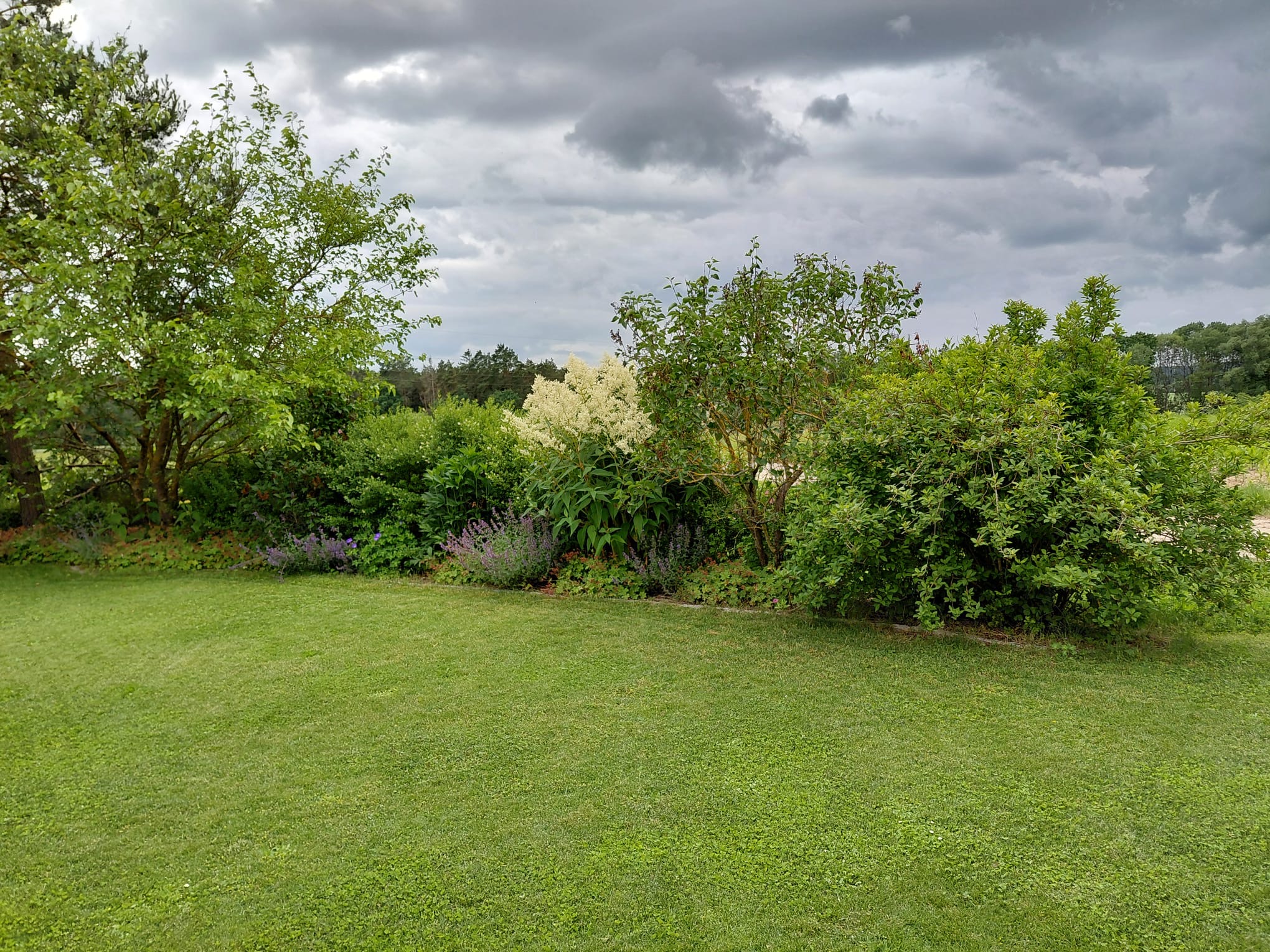 Gartenpflege