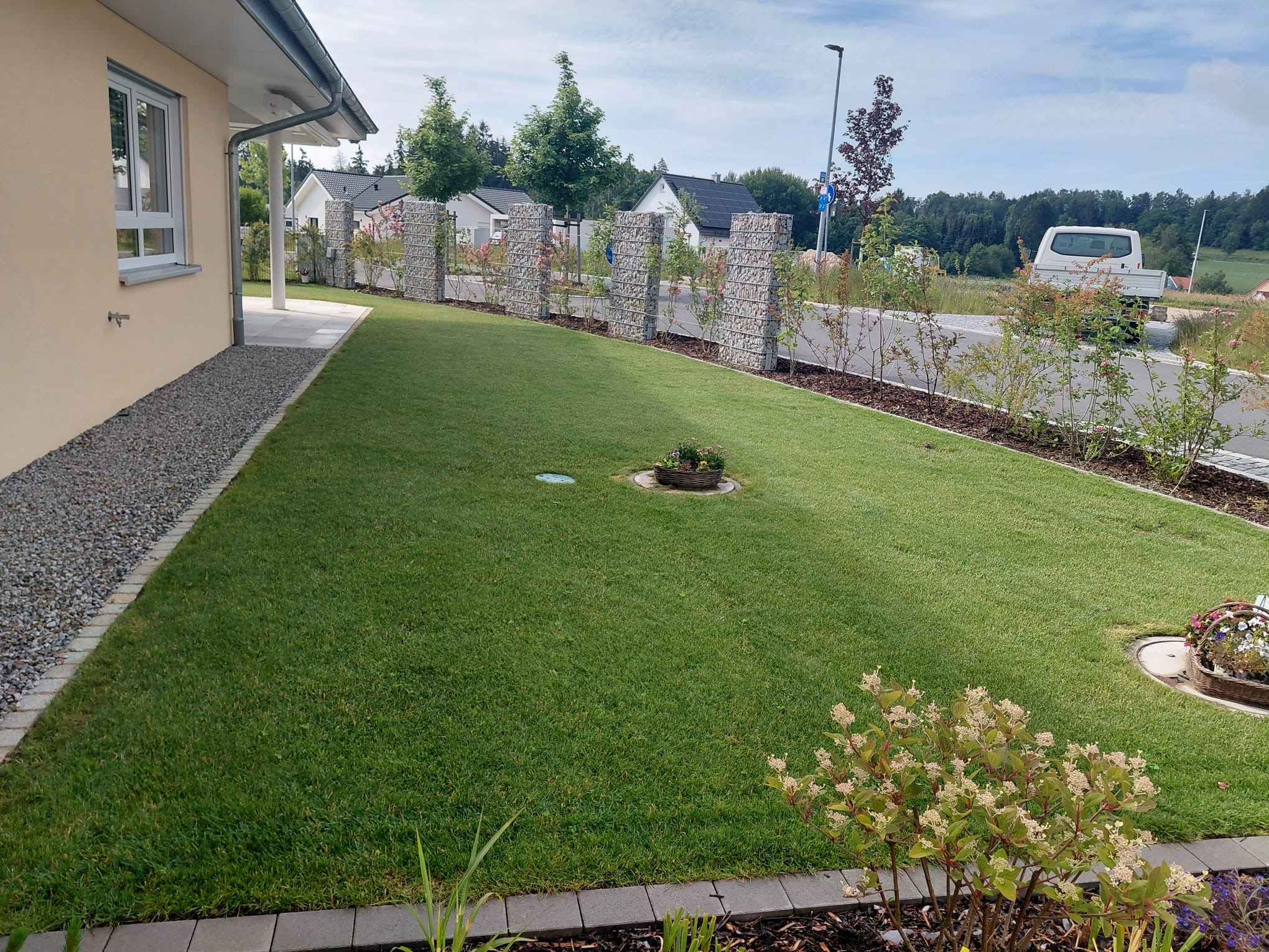 Gabionenzaun mit Rasen Galabau Friedel